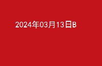 20240313B